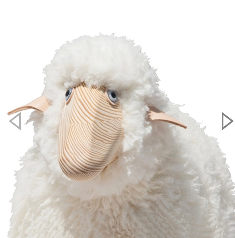 Lamm, gelocktes weißes Fell, Kiefer ("outdoor")