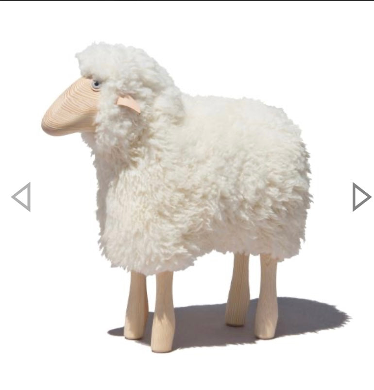 Lamm, gelocktes weißes Fell, Kiefer ("outdoor")