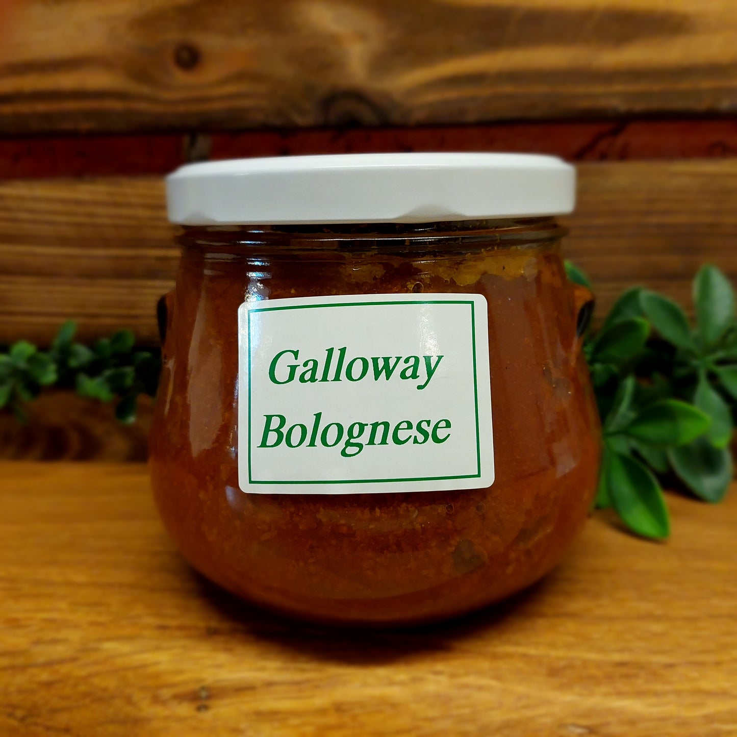 Galloway Bolognese